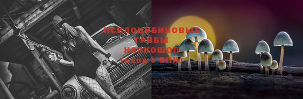 ECSTASY Алексеевка